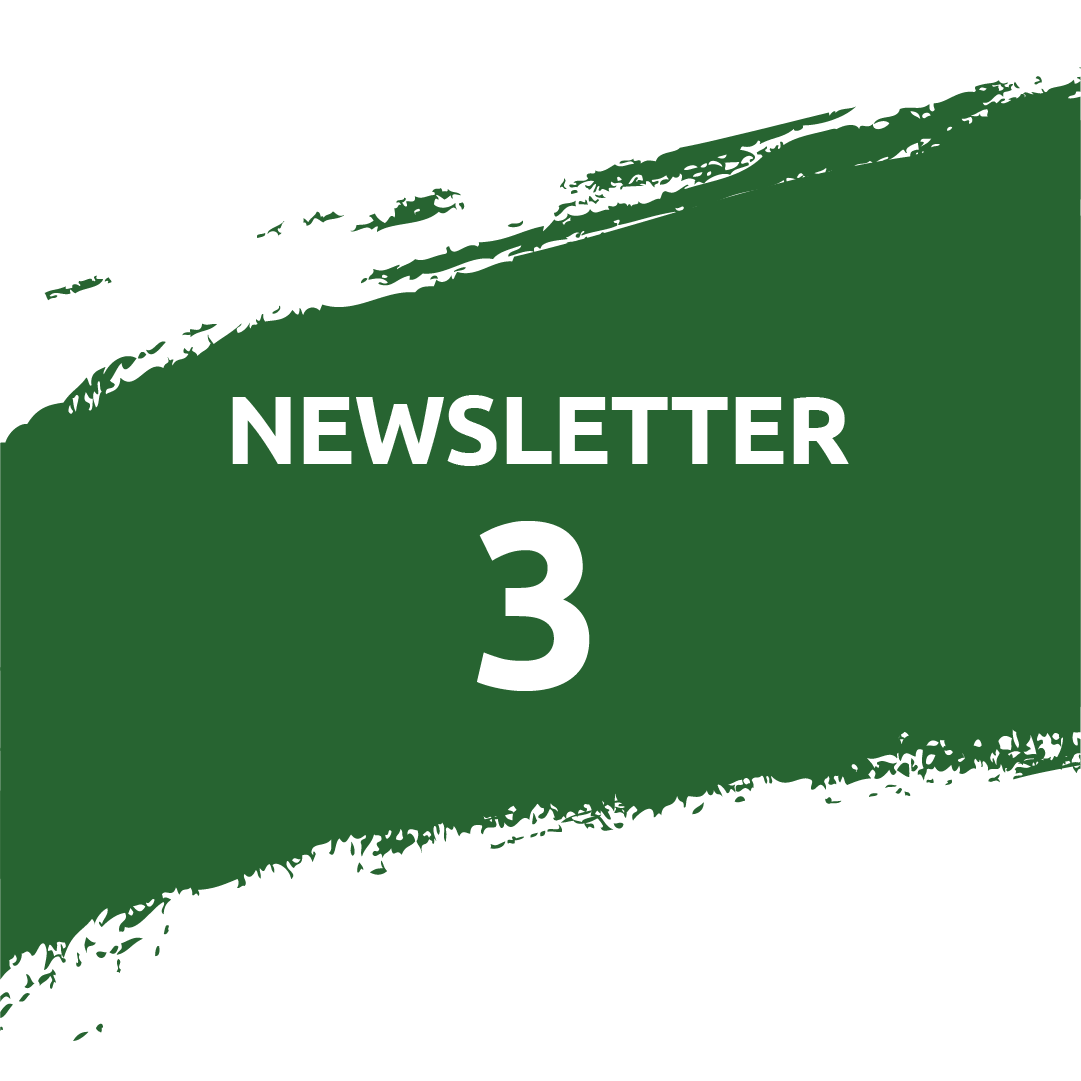 Cover of the third Newsletter
