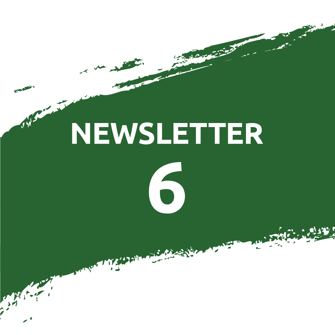 Cover of the sixth Newsletter